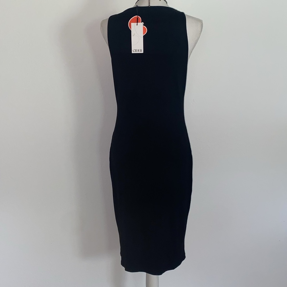 NWT Cider Bodycon Dress w/ Chico’s Necklace - Picture 3 of 5